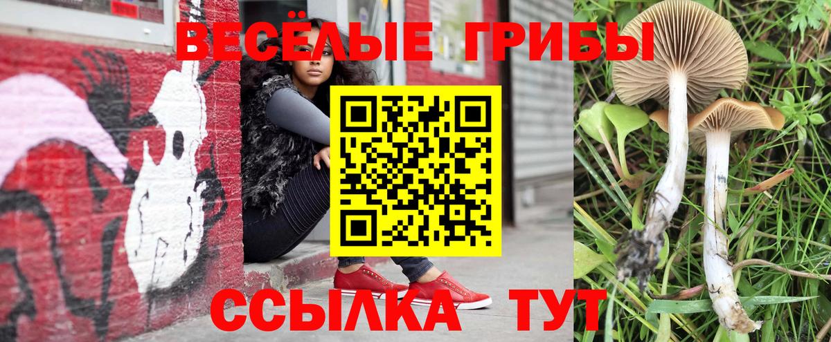 Псилоцибиновые грибы GOLDEN TEACHER Кушва