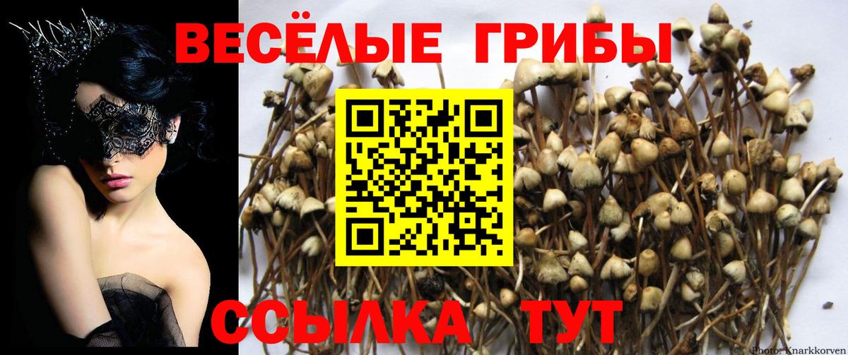 Галлюциногенные грибы Magic Shrooms  Вход с VPN  Кушва 